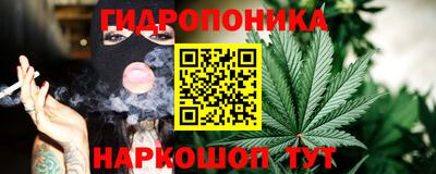 индика Будённовск