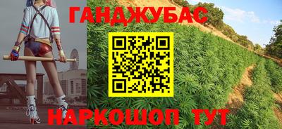 индика Будённовск