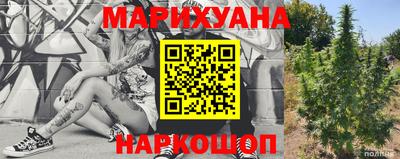 индика Будённовск