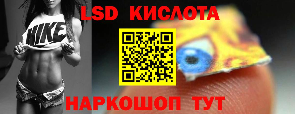 Галлюциногенные грибы Красноярск
